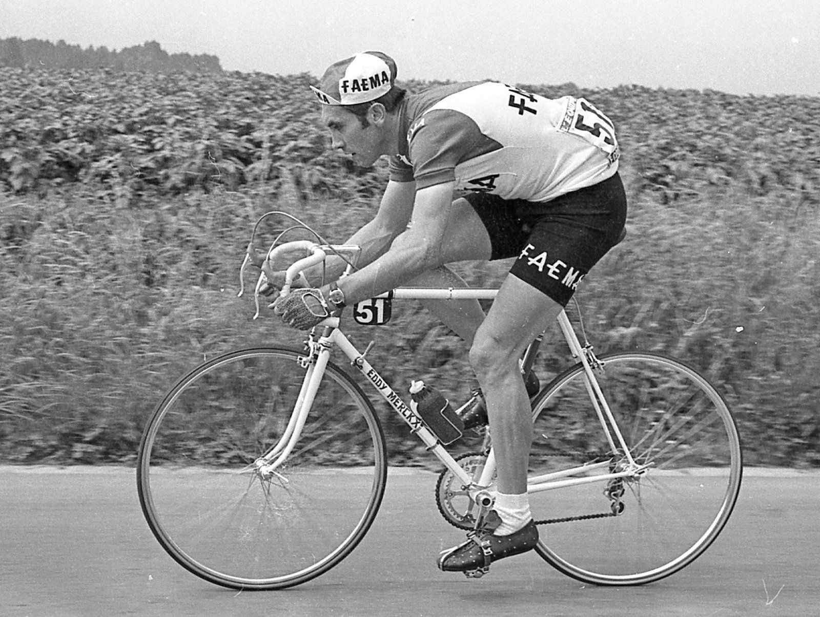 Eddy_Merckx_01.jpg