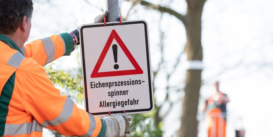 eichenprozessionsspinner-warnung-schild.jpg