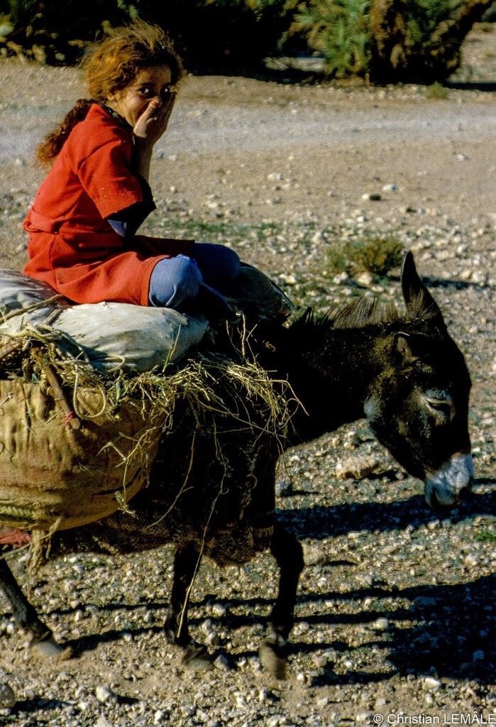 Enfant sur son âne  - Sahara - Algérie (1980).jpg