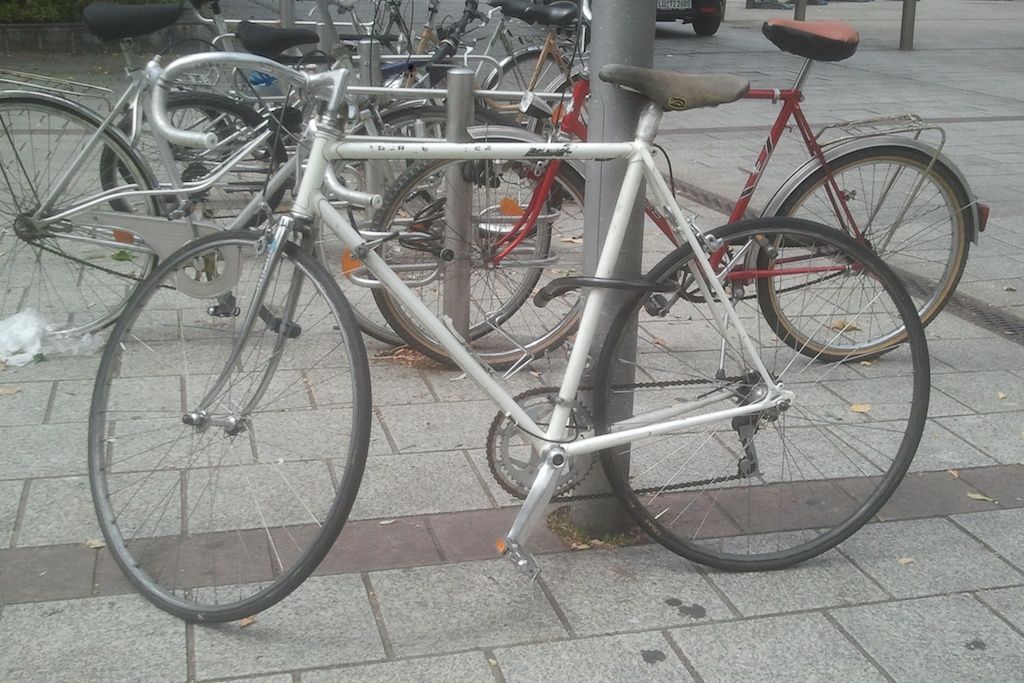 Fahrrad Ganz.jpg