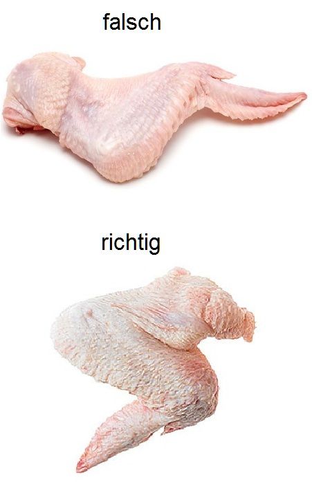 falsch&richtg.jpg