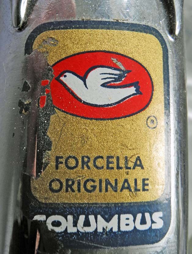 forcella.jpg