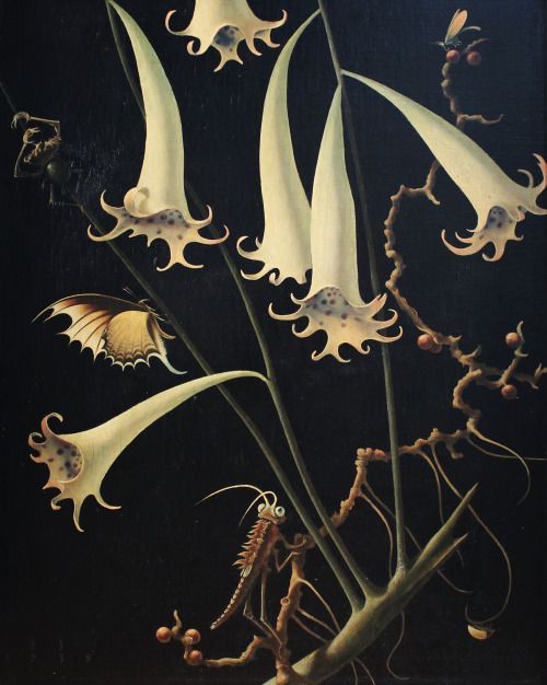 Franz Sedlacek, Blüten und Insekten Nr. 3, 1935_500.jpg