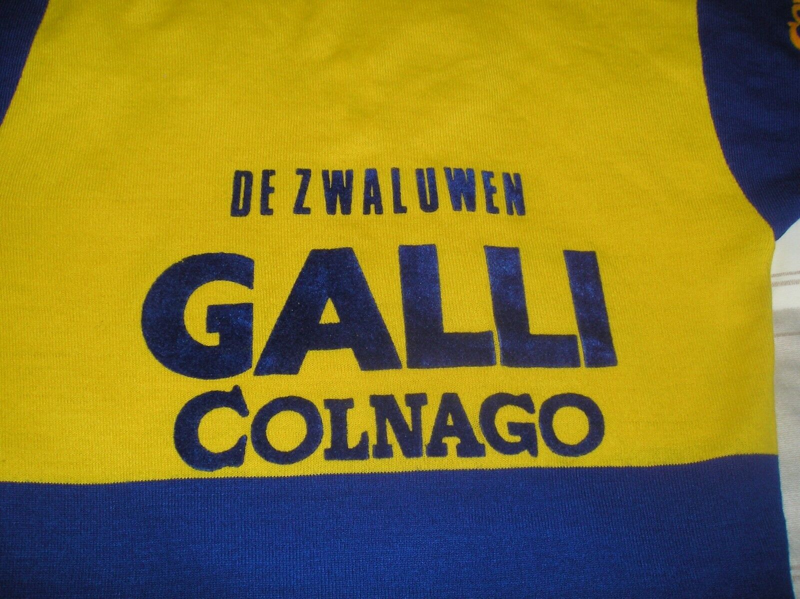 Galli Colnago De Zwaluwen Jersey maglia eroica 3.jpg