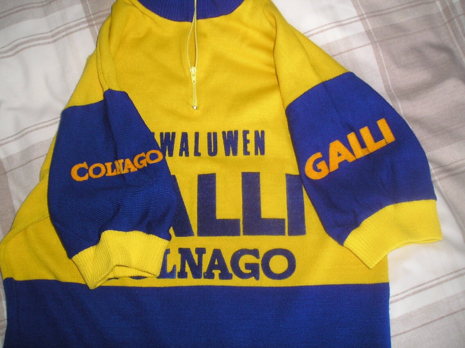 Galli Colnago De Zwaluwen Jersey maglia eroica 4.jpg