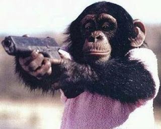 gangsta chimp_web.jpg