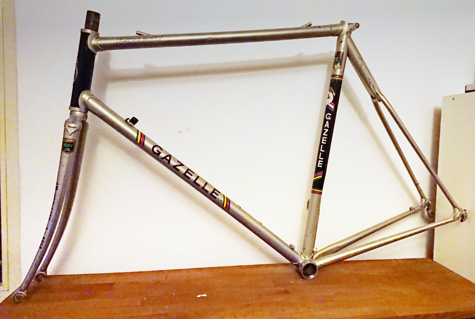 gazelle aa special frame mono stay.JPG