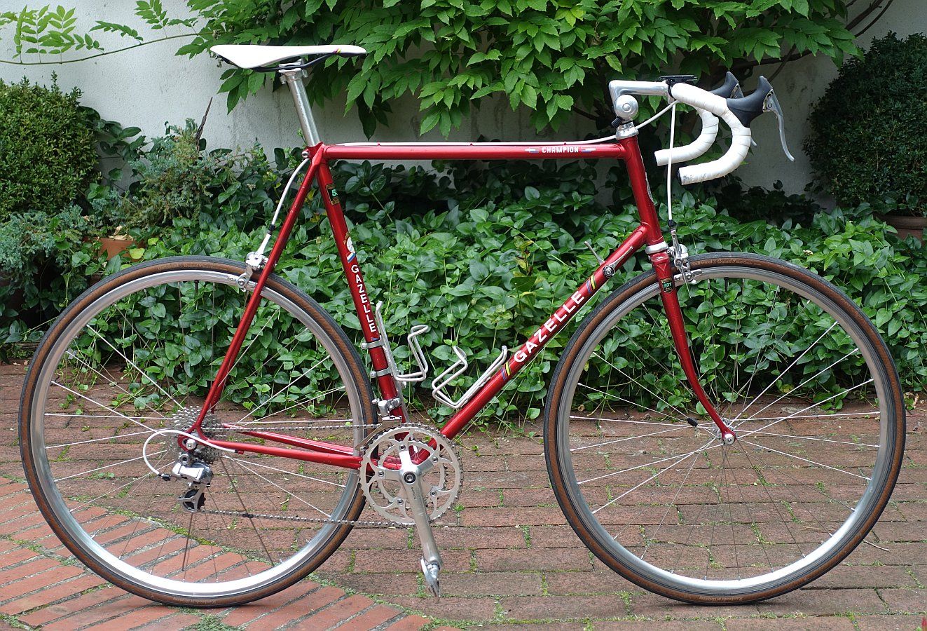 Gazelle Champion AB-Frame 2021-08-07  1.jpg