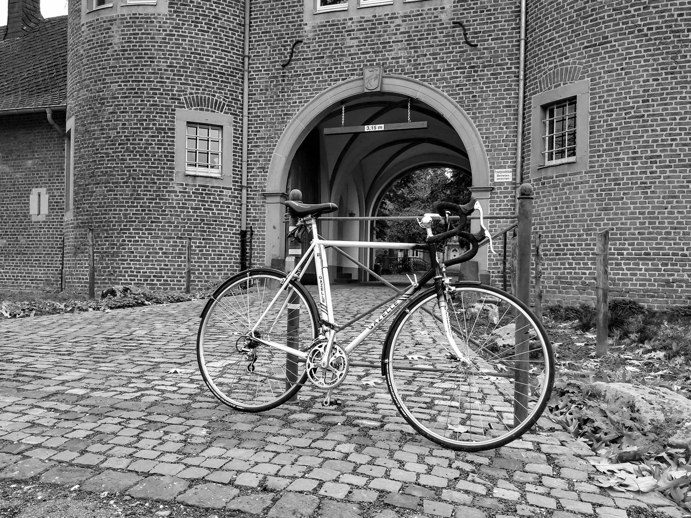 Gazelle Ventoux am Schloss Rimburg - Kopie.jpg