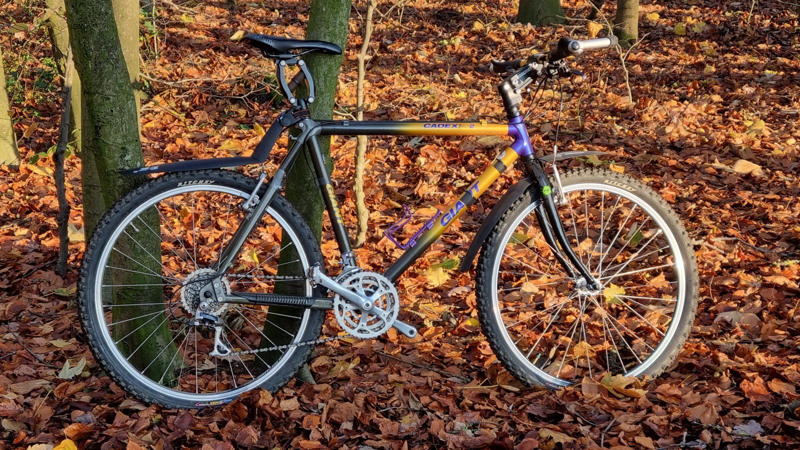 Giant-Cadex-MTB.jpg