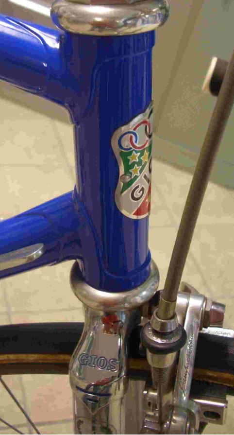 gios prof 1983.JPG