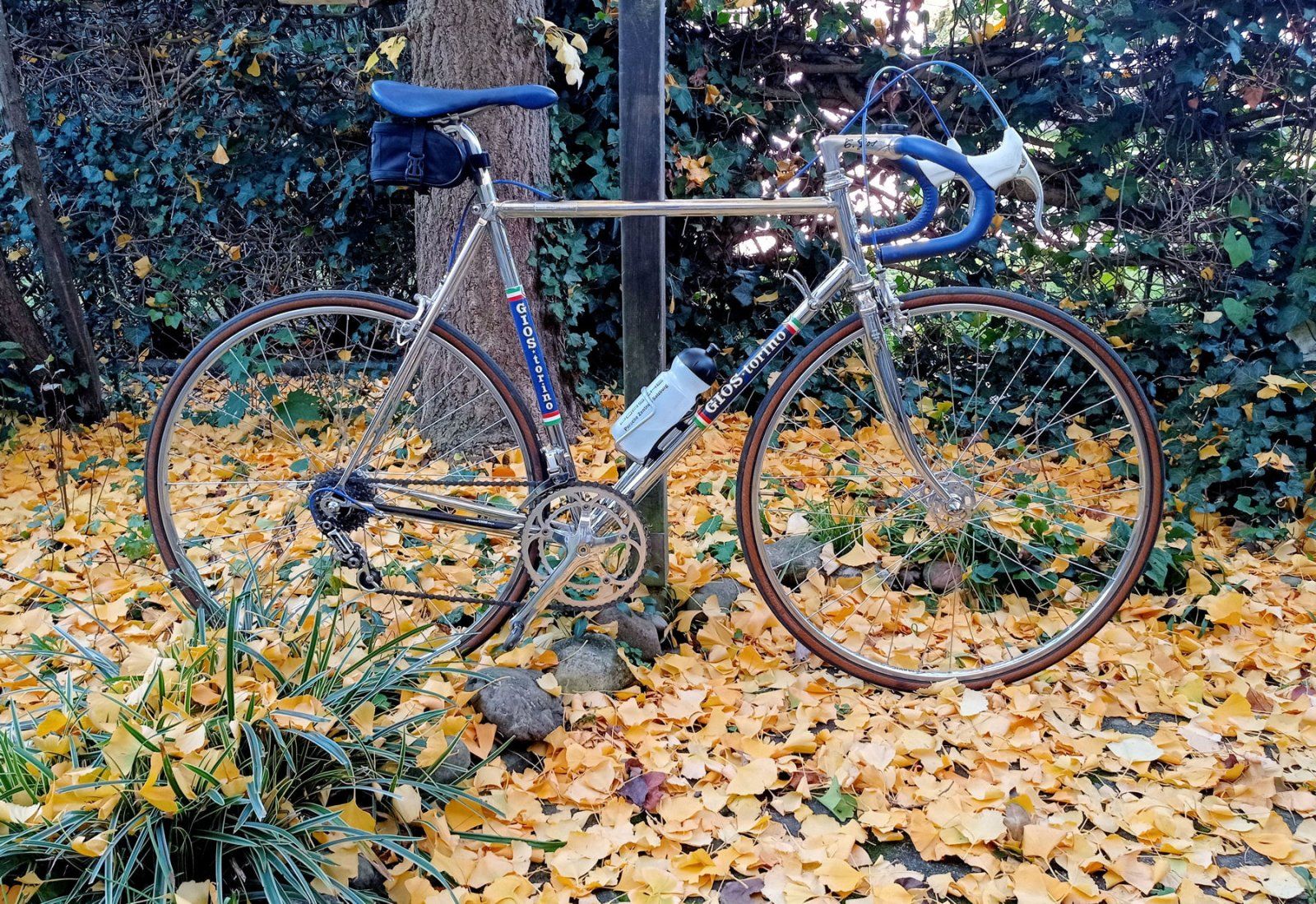 Gios_Herbst_AA_1800.jpg