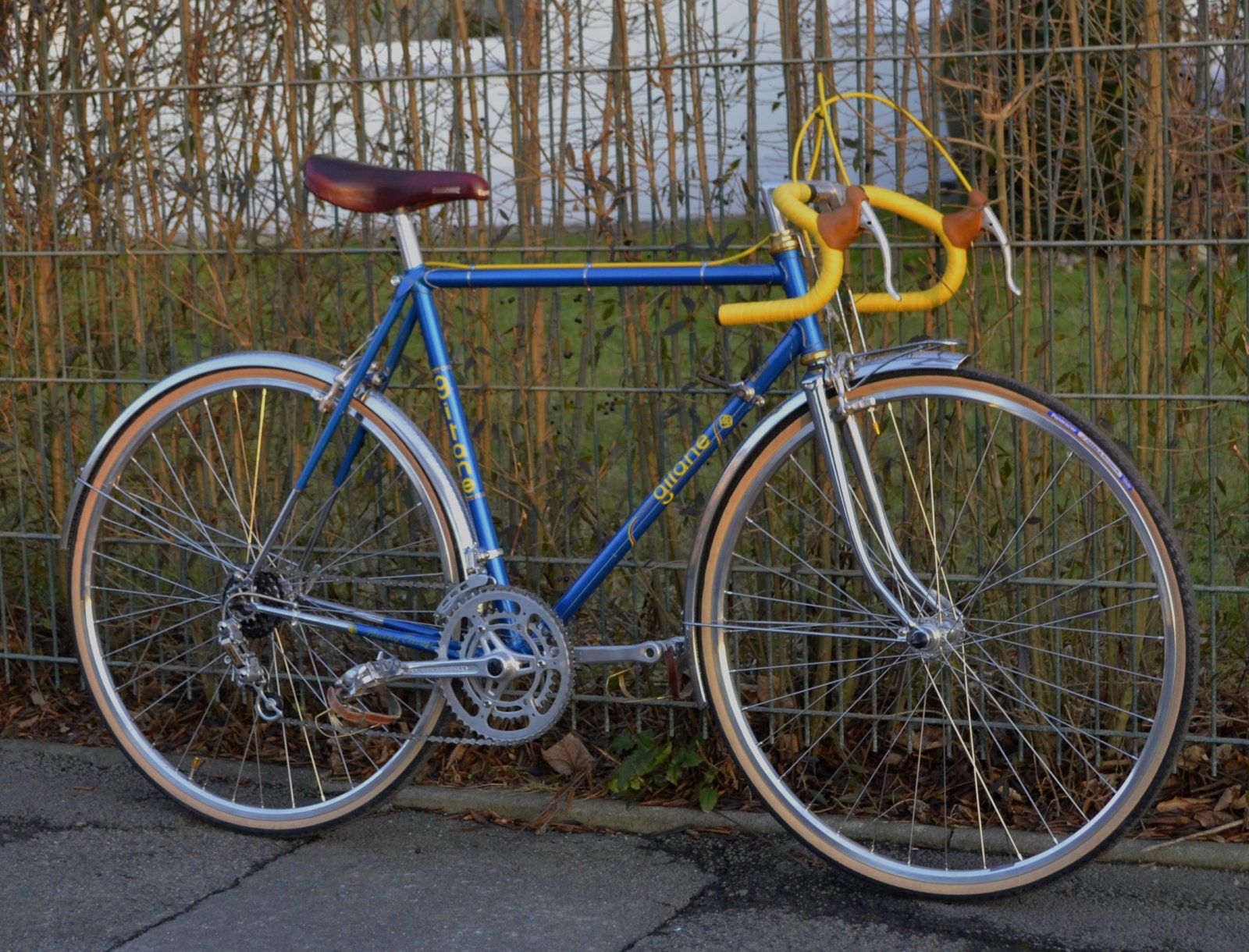 Gitane 2.JPG