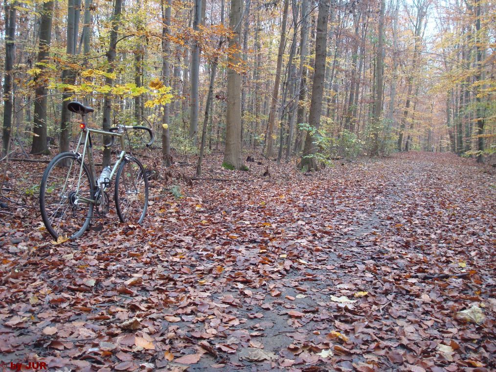 GRHerbstlaub1.jpg