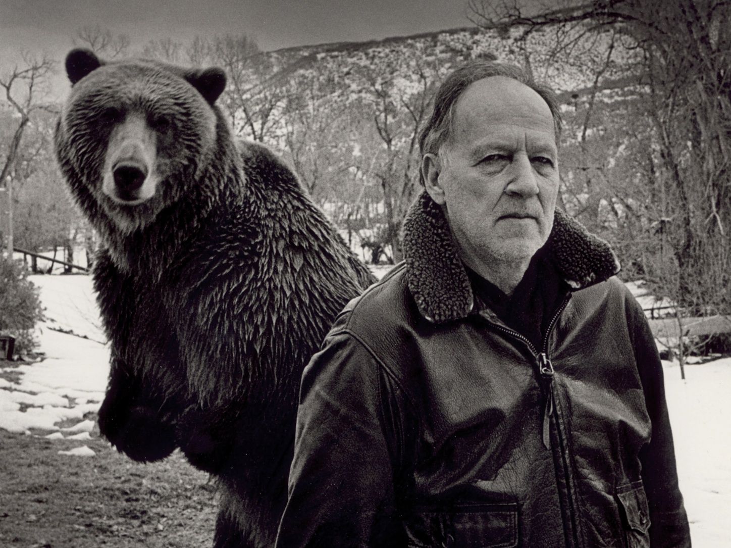 grizzly-man-2005-003-werner-herzog-bear-posebfi-00n-h4x-1000x750.jpg