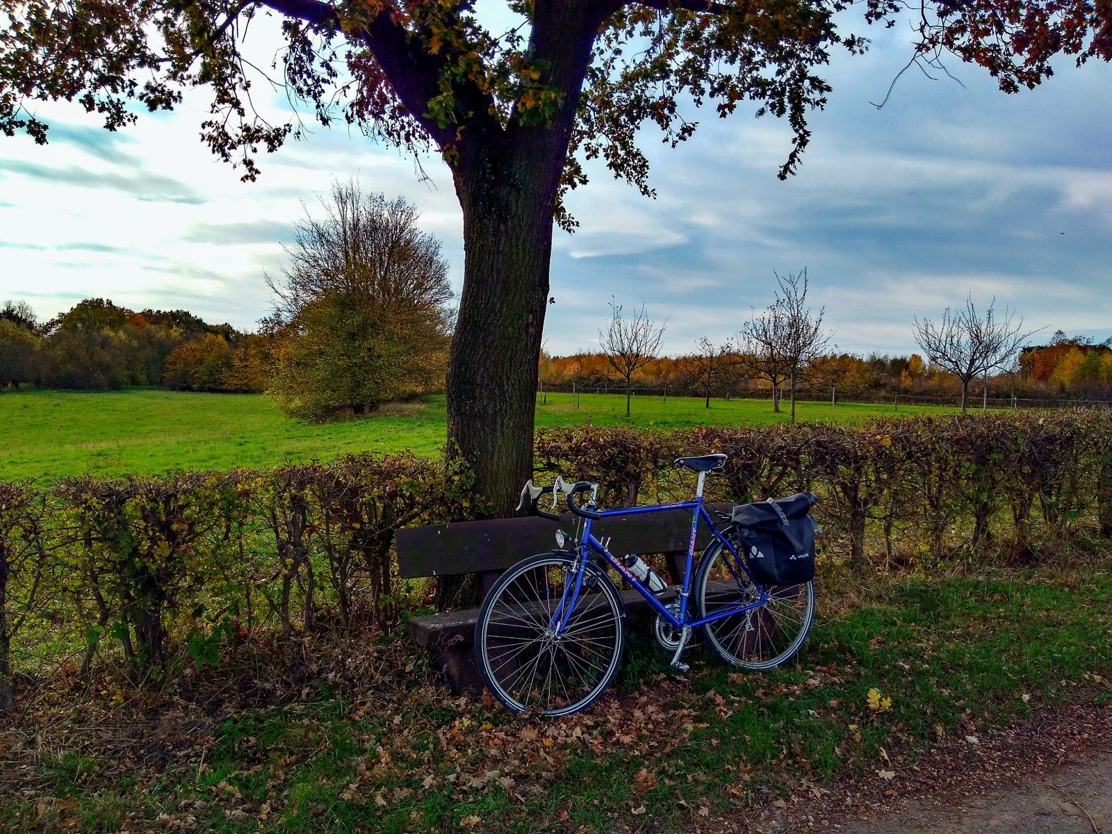 Herbst in der Einflugschneise.jpg