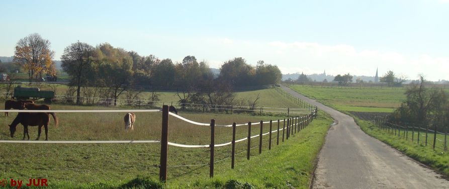 Herbstsonnenrunde.jpg