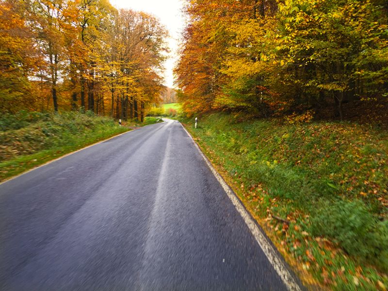 Herbststraße.jpg