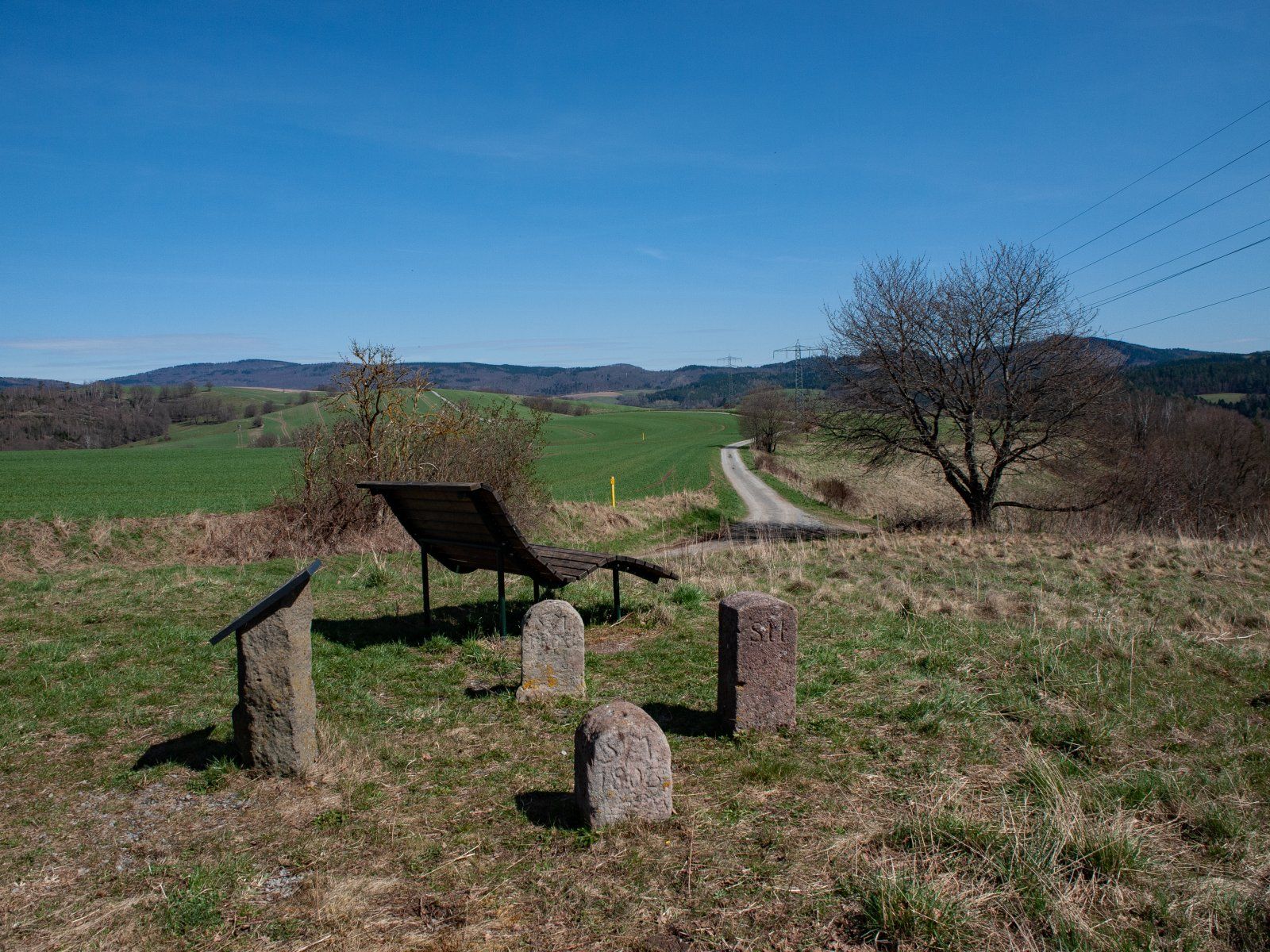 Historische Grenzsteine zw Sachsen-Meinigen u Landgrafschaft Hessen - Vogelsberg bei Breitungen.jpg