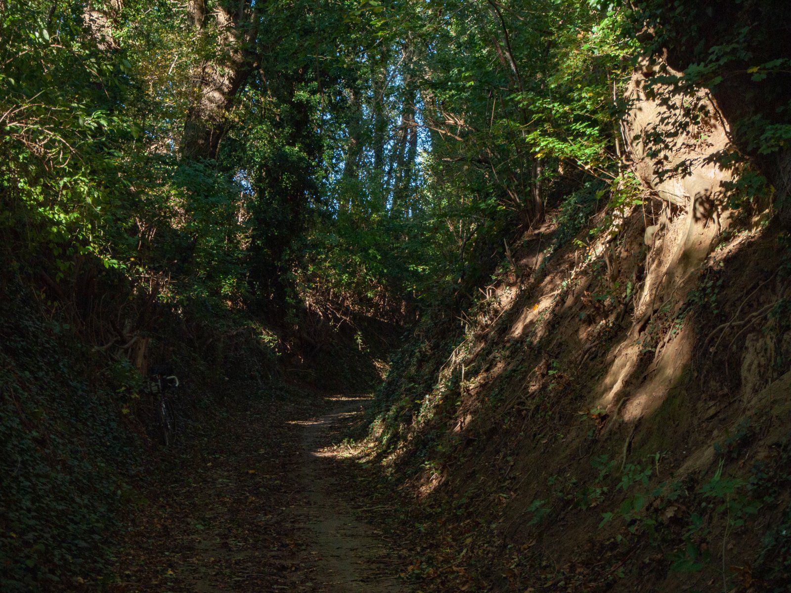 Hohlweg aus Wolfhagen raus.jpg