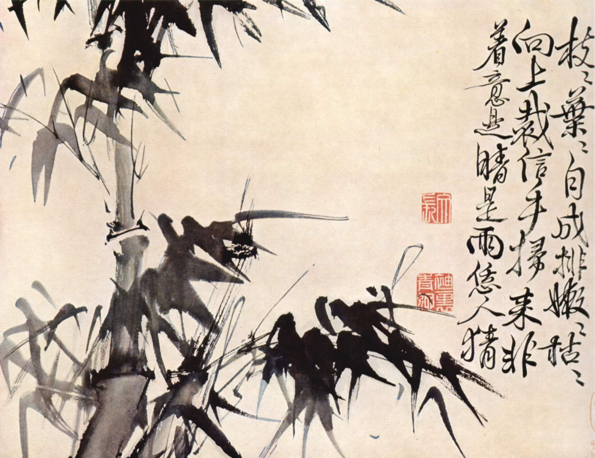 Hsü Wei - Bamboo (16th, centruy china).jpg