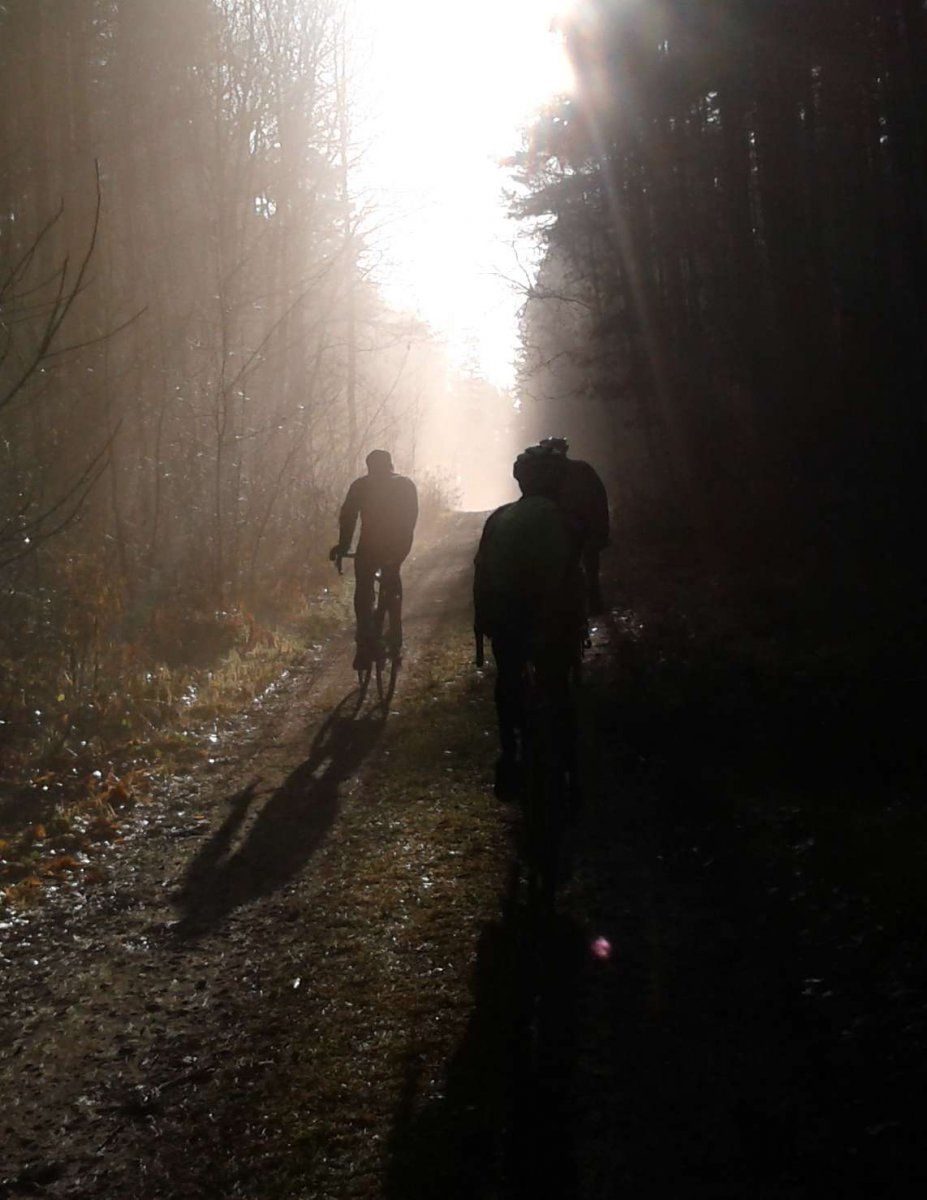 Im Wald 1.jpg