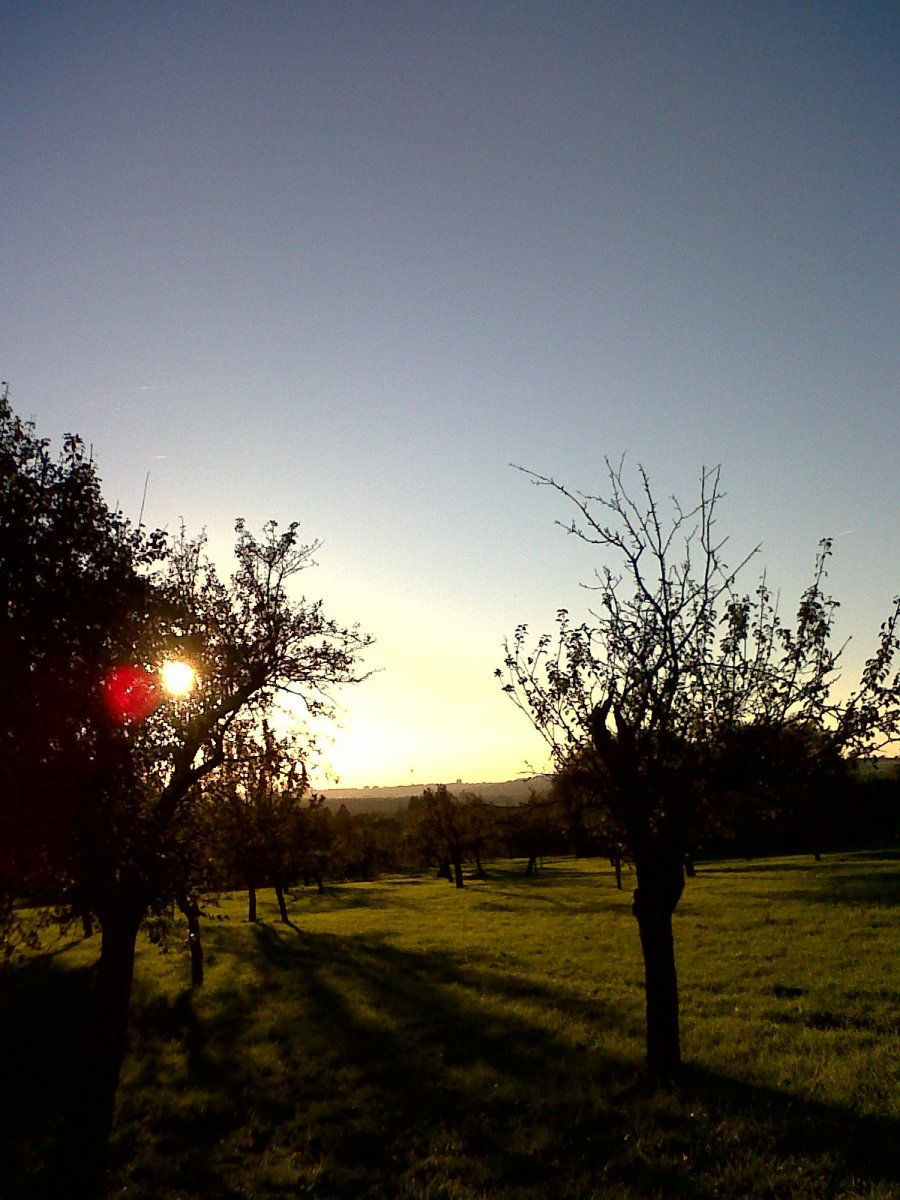 IMG00223-20141018-1751.jpg