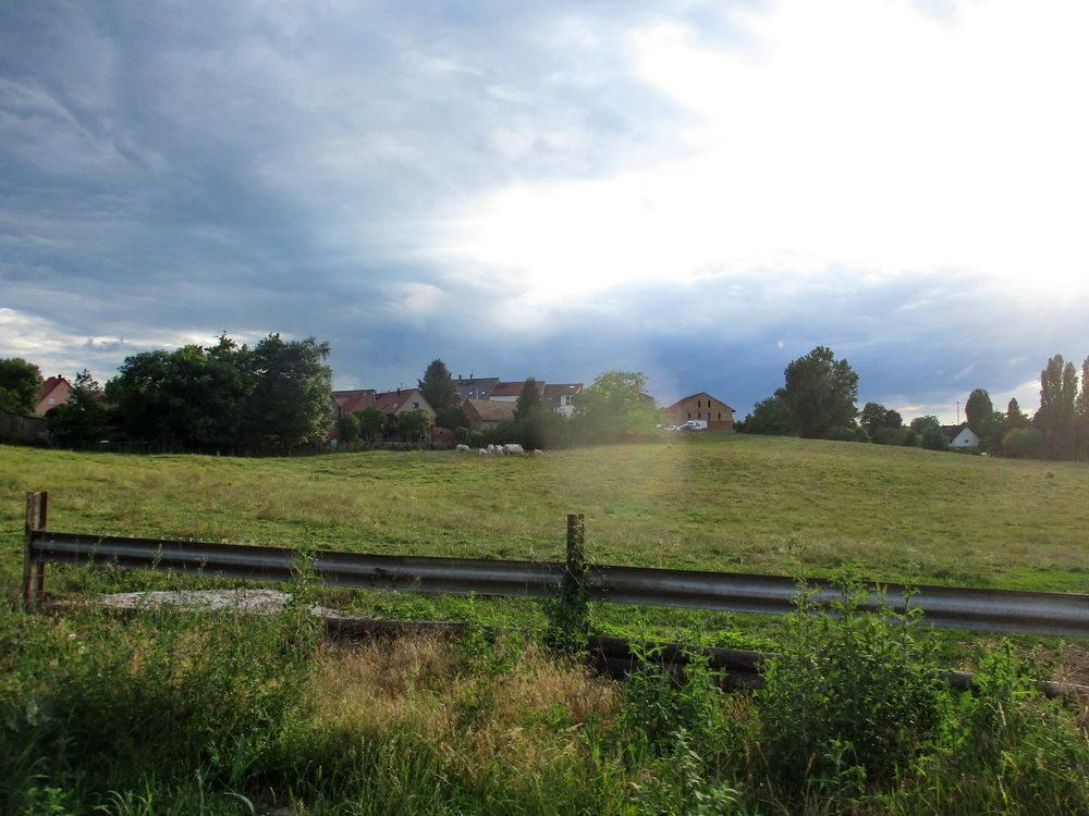 IMG_0007.JPG