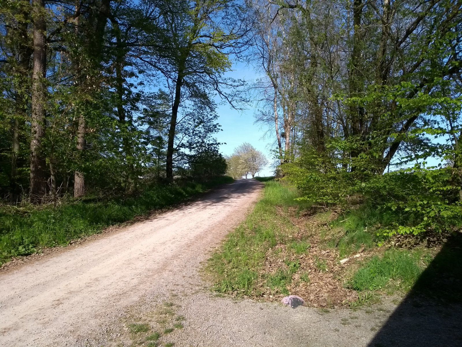IMG_20230503_173059105.jpg