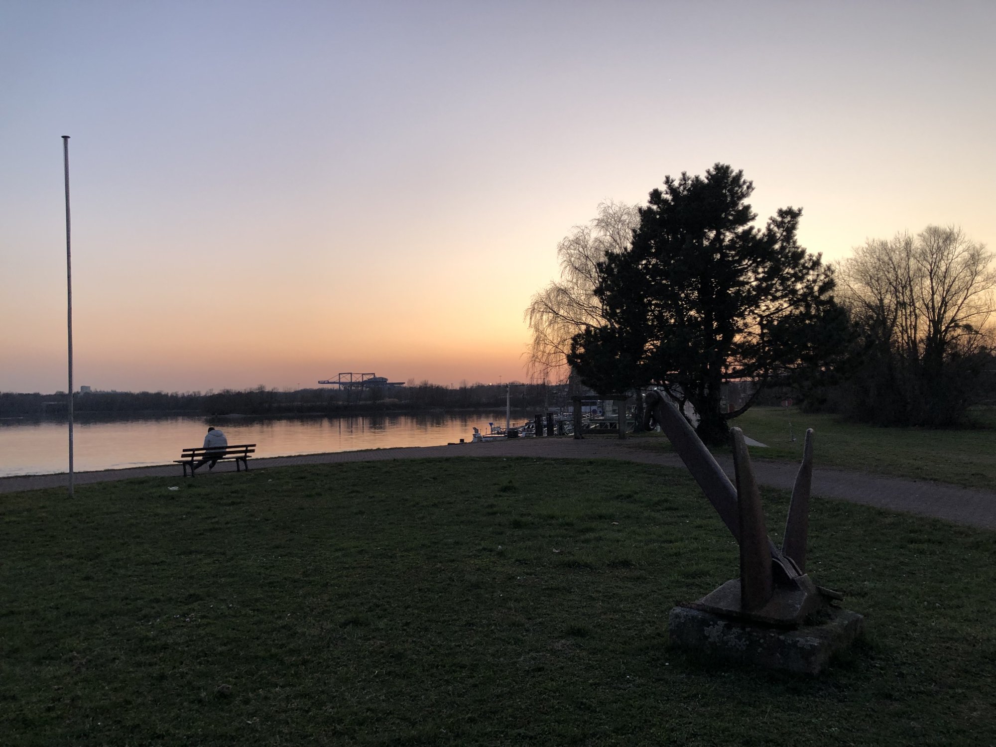 IMG_2285.jpeg