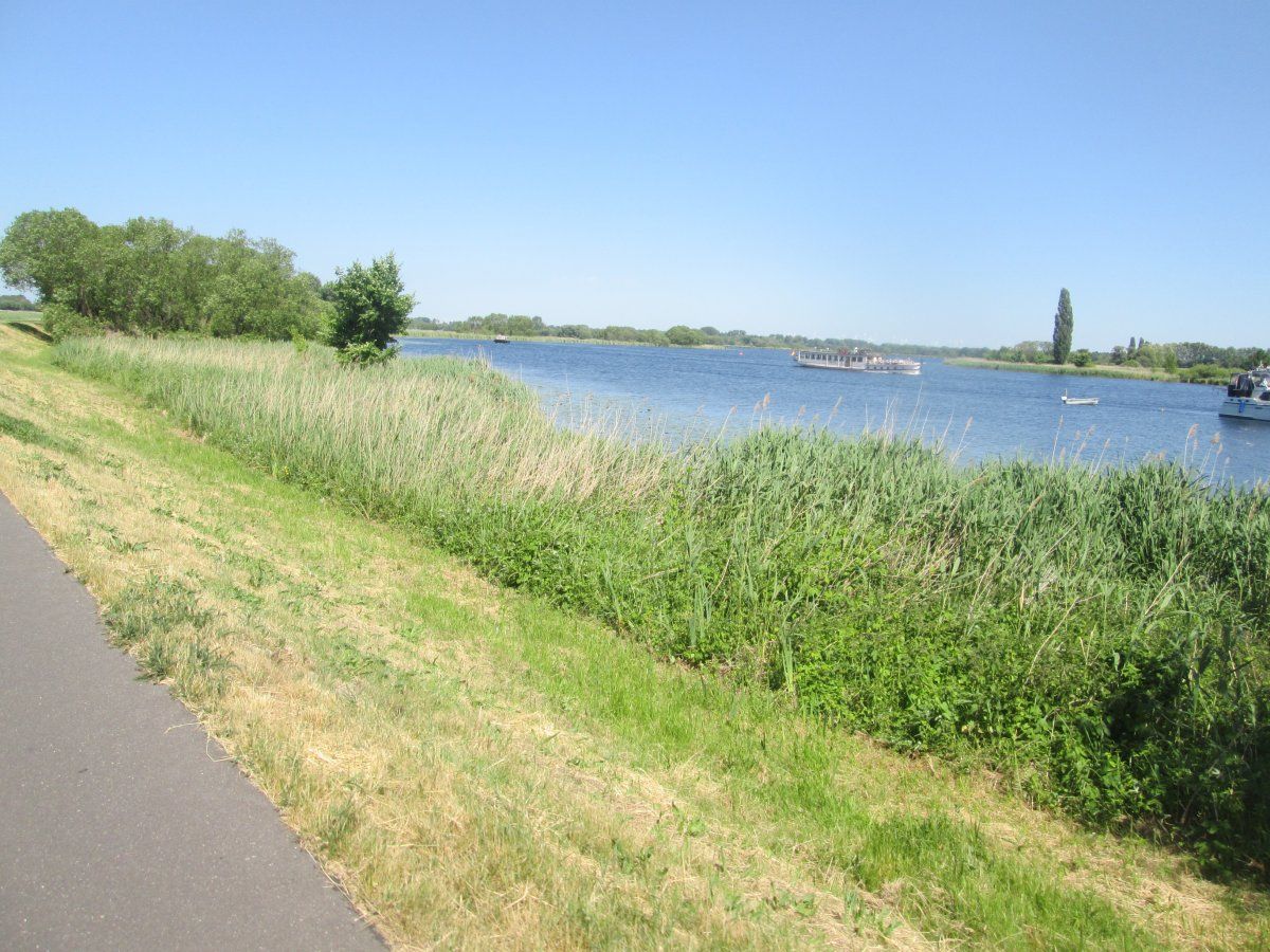 IMG_3963.JPG