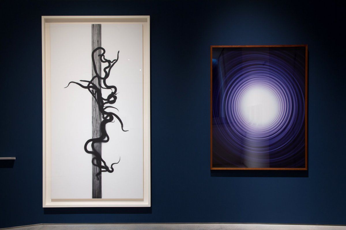 Installation view of Adam Fuss (UK-Australia-US) Caduceus 2010 left & Untitled 1991 right.jpg