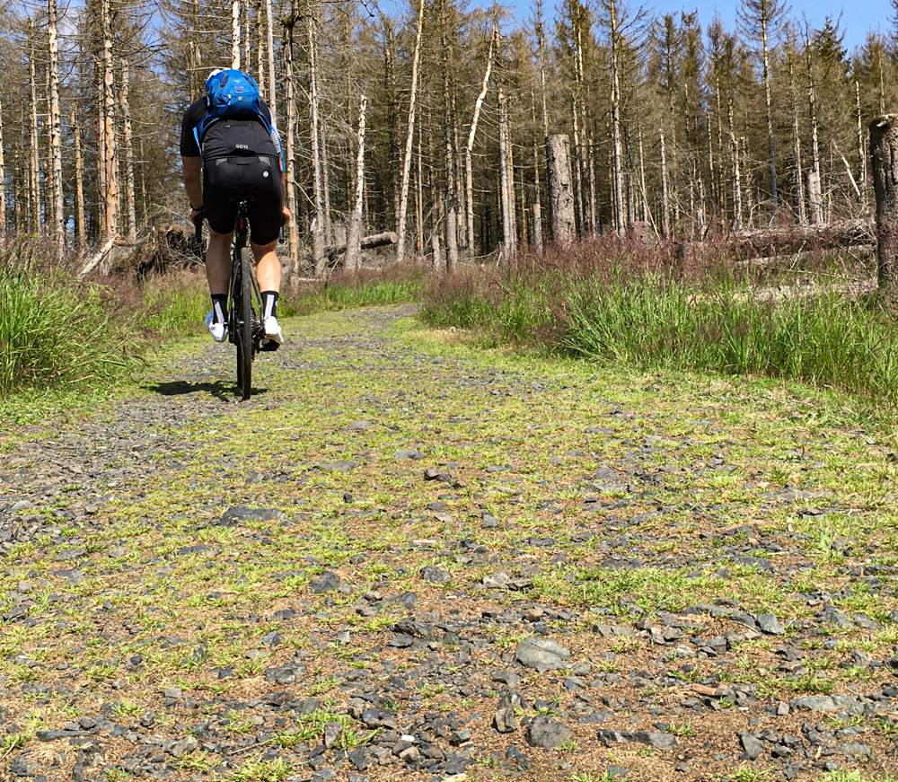 izalco auf reisen - brocken-0794.png