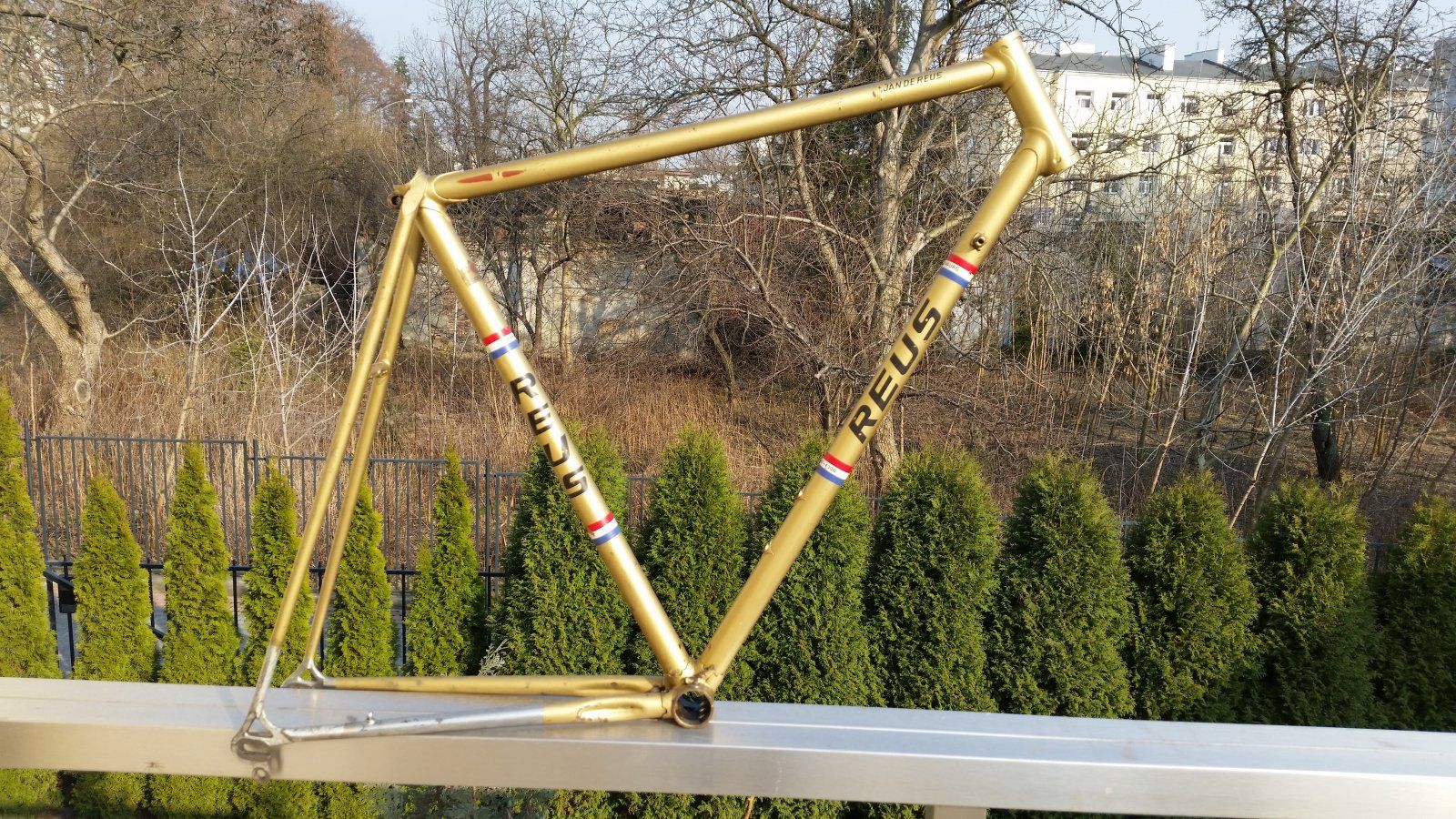 Jan de Reus Racing bicycle Columbus Campagnolo 1010b drop outs gold drillium brake bridge brem...jpg