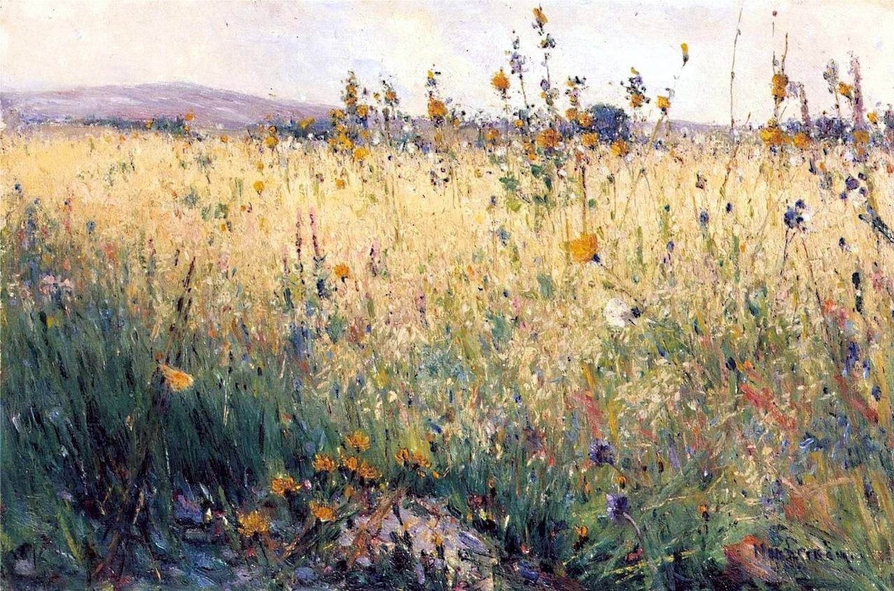 Karl Nordström-Oat Field, Lyrön.jpg