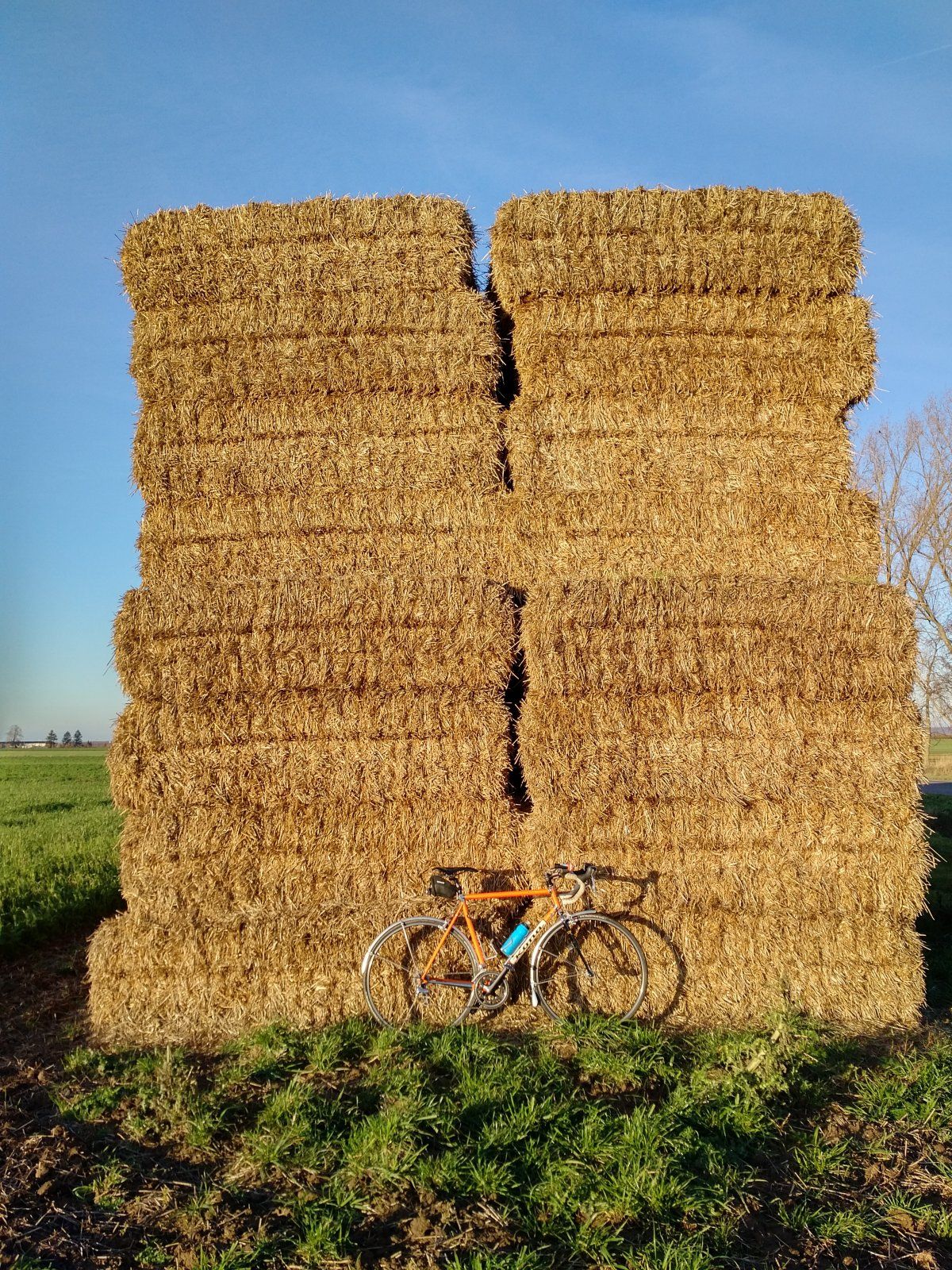 Kona Adventsrunde 00004.jpg