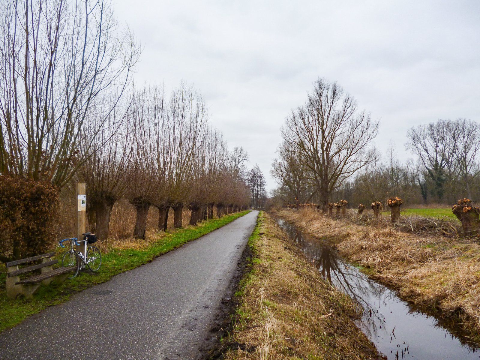 Kopfbaumschnitt am Rodebach - Kopie.jpg