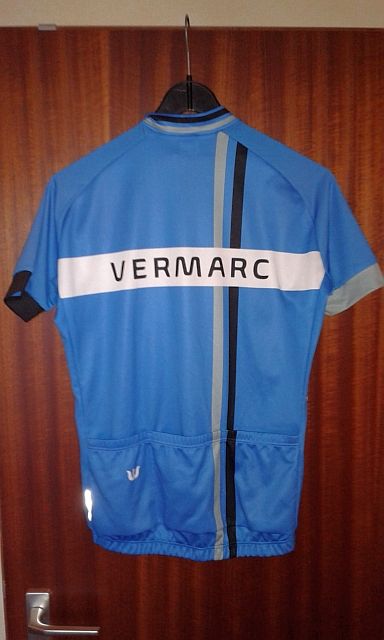 Kurzarmtrikot blau Rücken.jpg