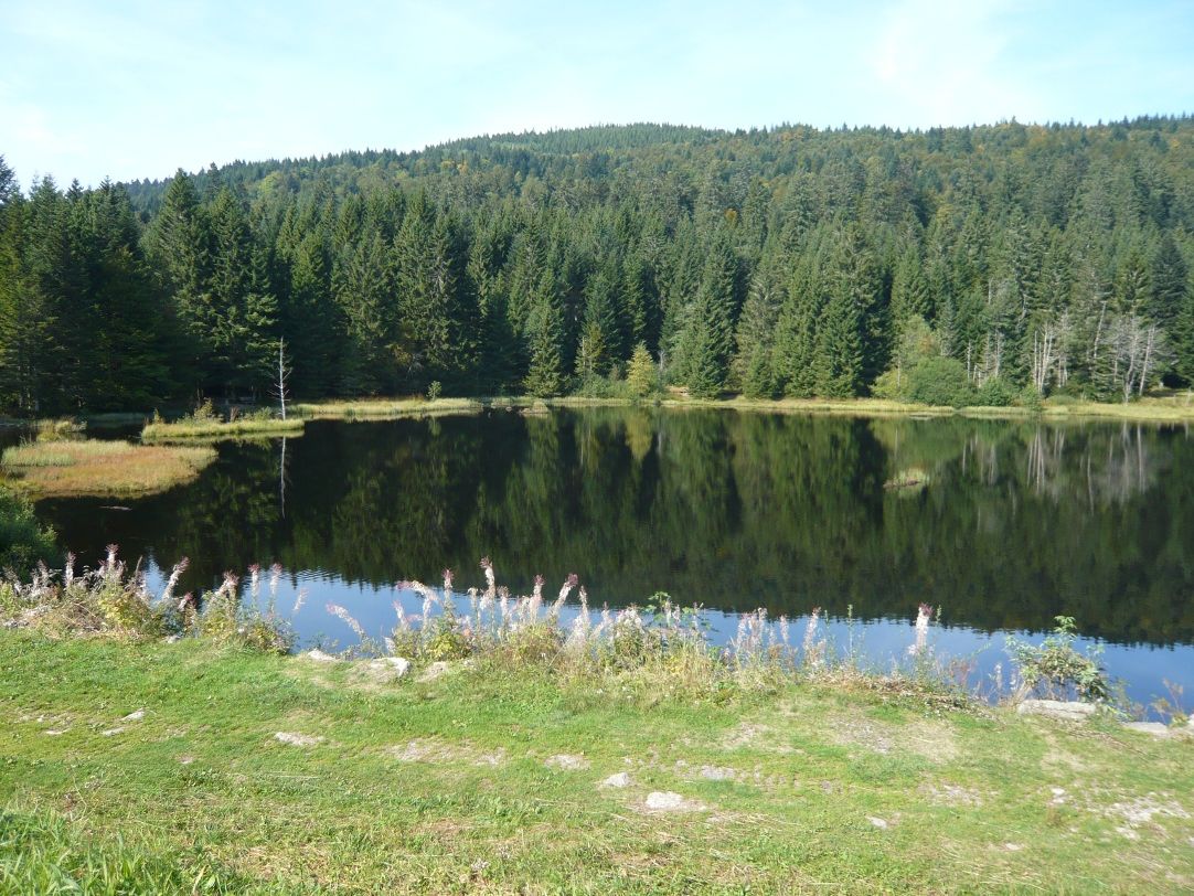 Lac de Lispach.JPG