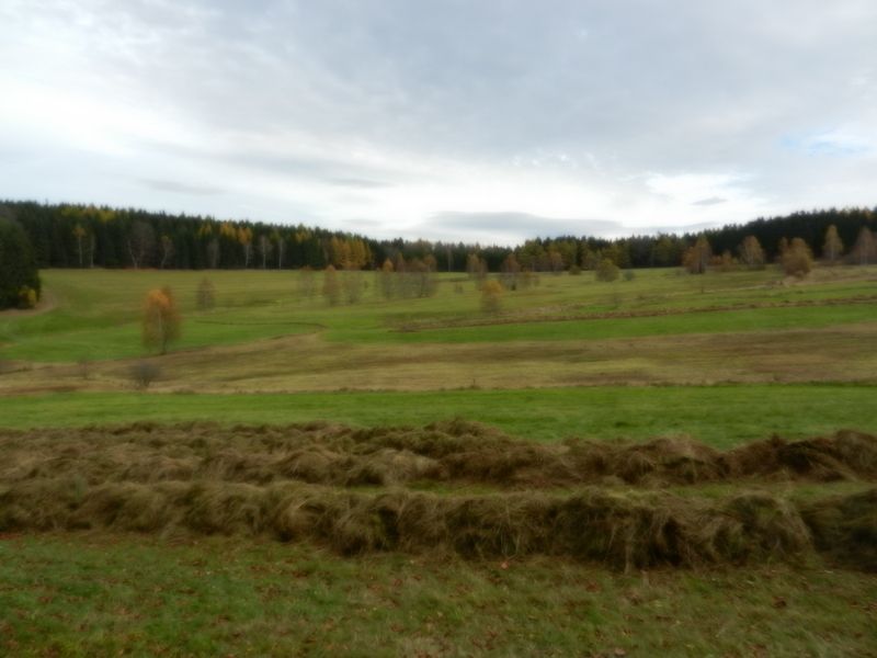 Landschaft.jpg