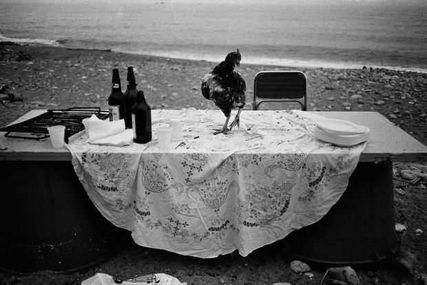 Letizia battaglia - Nella-spiaggia-dell-Arenella-la-festa-e-finita-Palermo-1986.jpg