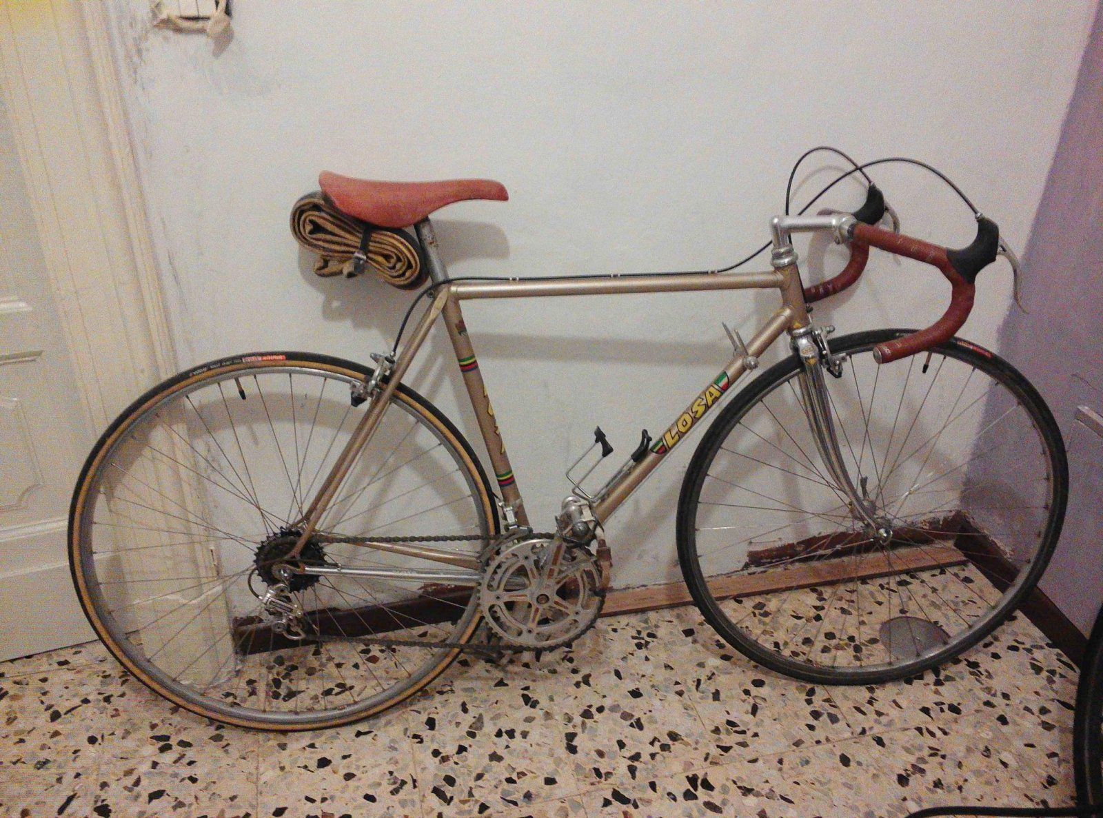 Losa Professional bici corsa (1).jpg