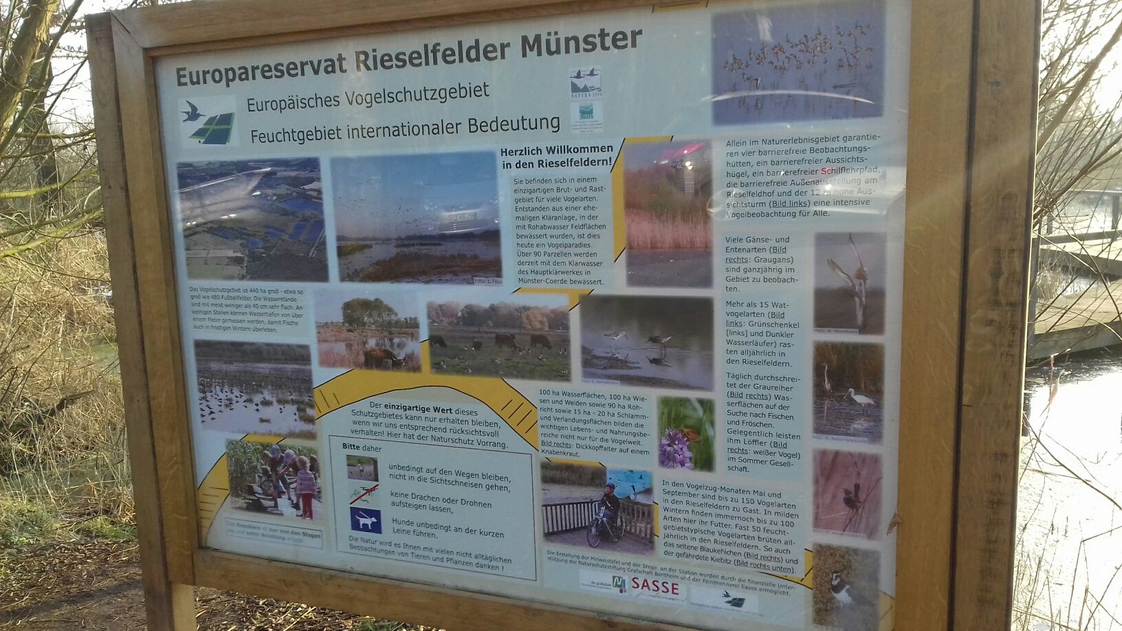 Münster5.jpg