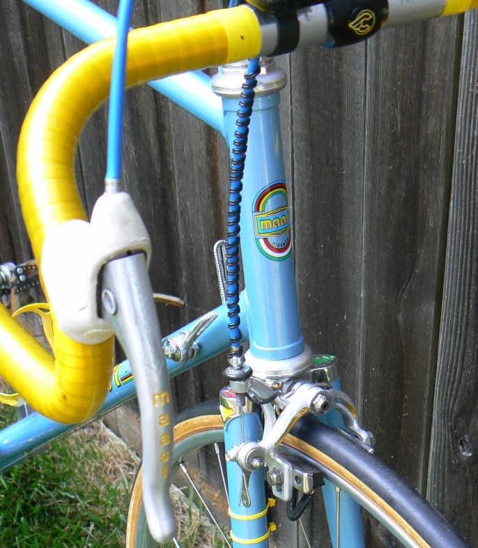 Maasi Prestige brake lever and caliper.jpg