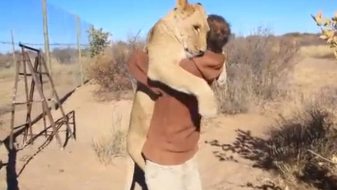 man-and-his-big-cat-buddy-hug-it-out-video.jpg