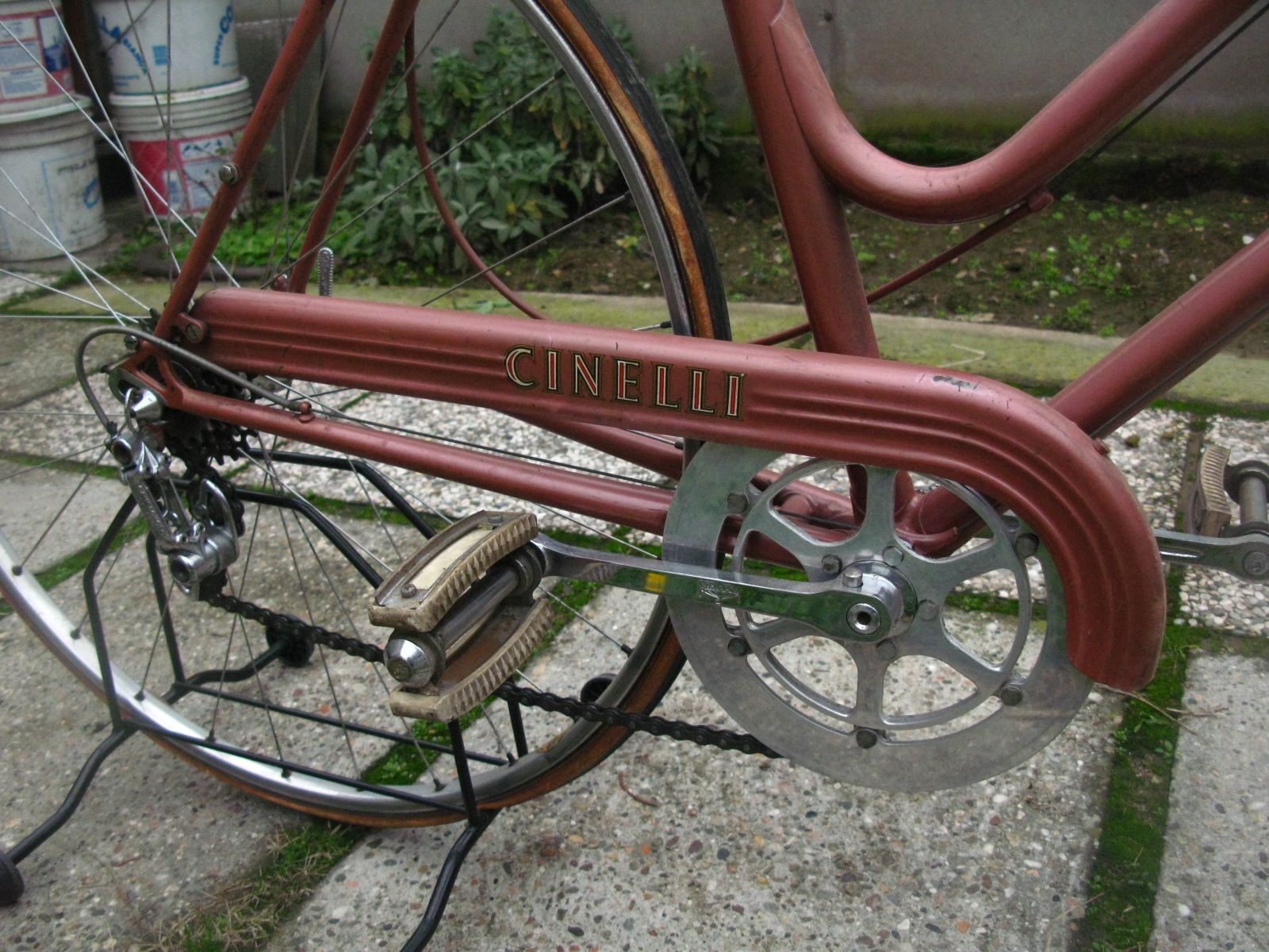 Mara Cinelli chainguard.jpg