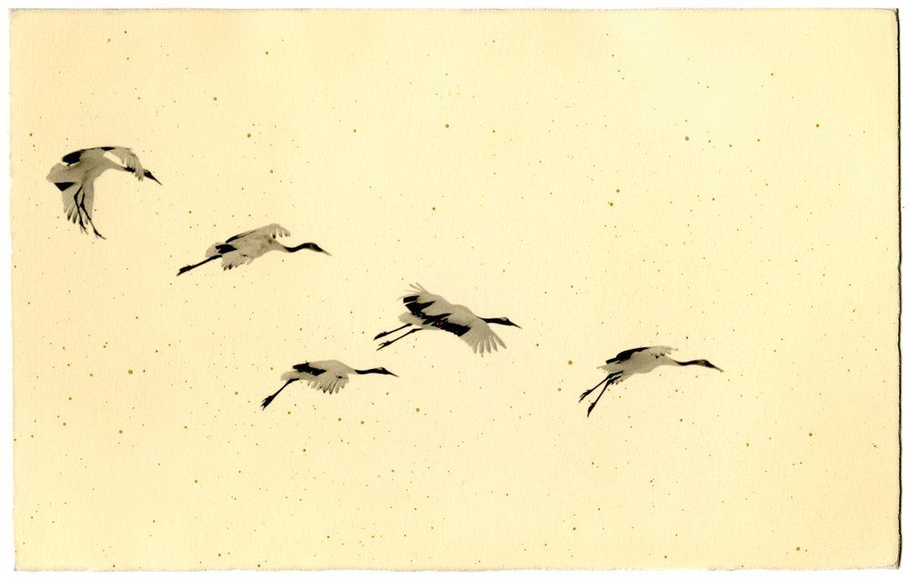 Masao Yamamoto Tori, 2016 (1).jpg