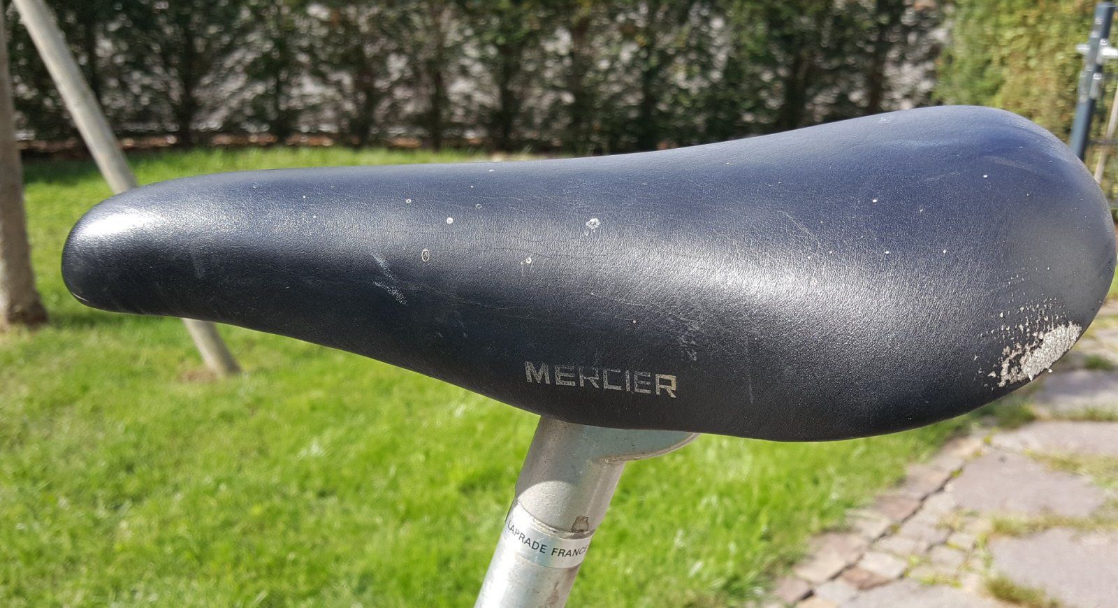 Mercier 1977 (14).jpg