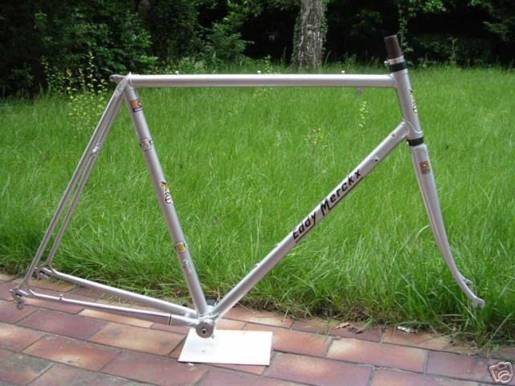 Merckx 83.JPG