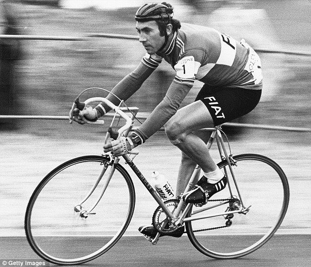 Merckx QL.jpg